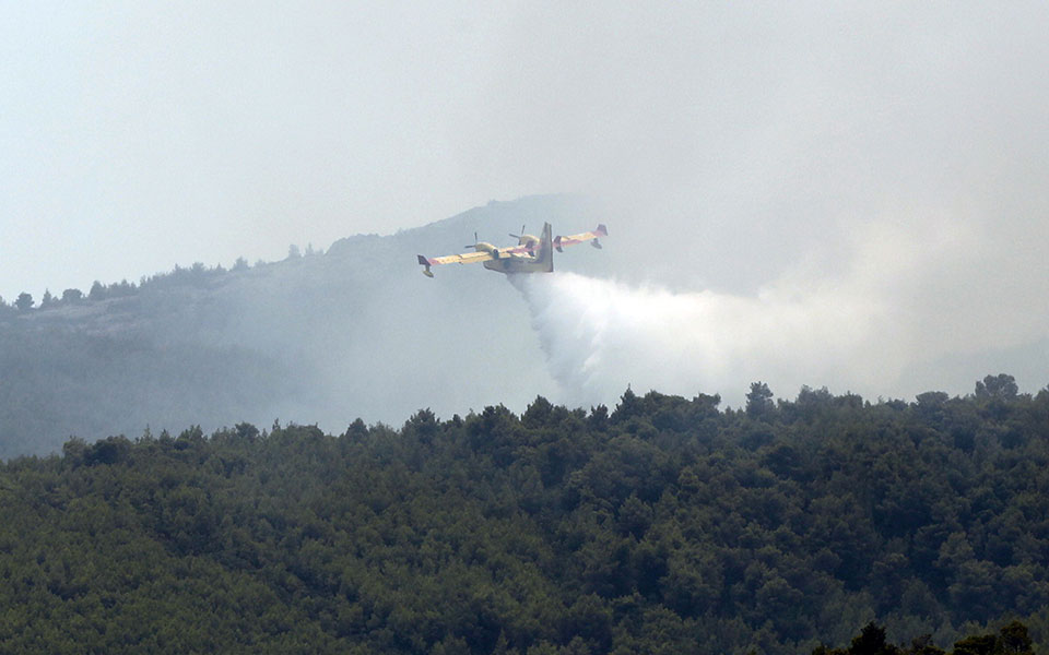 φωτιά-στην-ηλεία-τέθηκε-γρήγορα-υπό-561523405