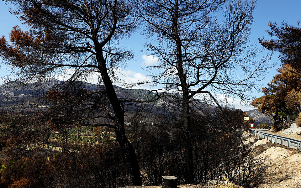 παρεμβάσεις-σε-επτά-περιοχές-για-αντι-561519922