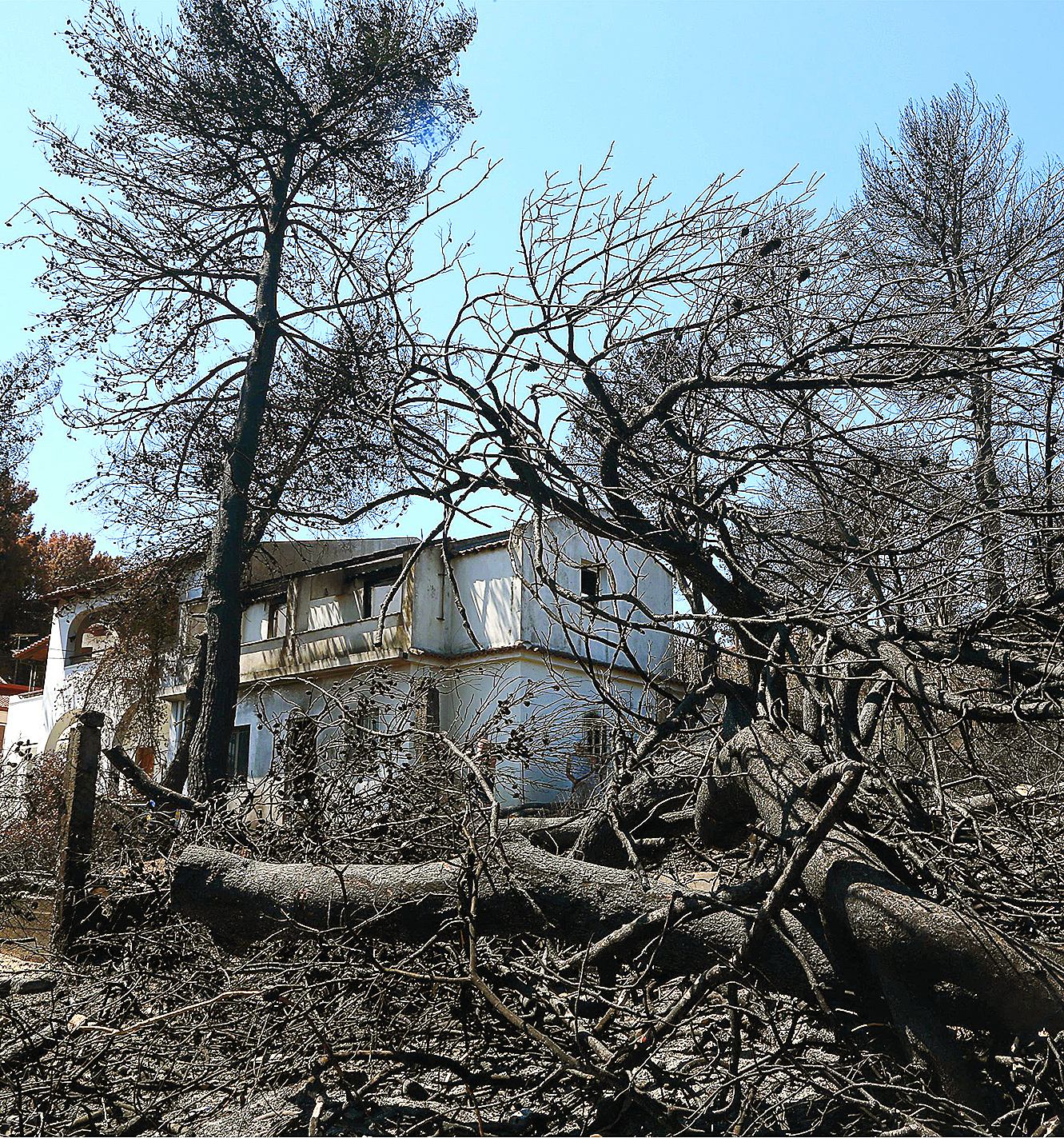 αύξηση-κατά-884-στις-αποζημιώσεις-για-φυ-561529435