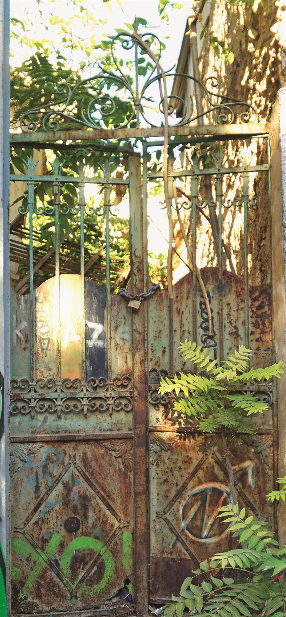 οι-σεπτές-καγκελόπορτες-στο-γκάζι-561563941