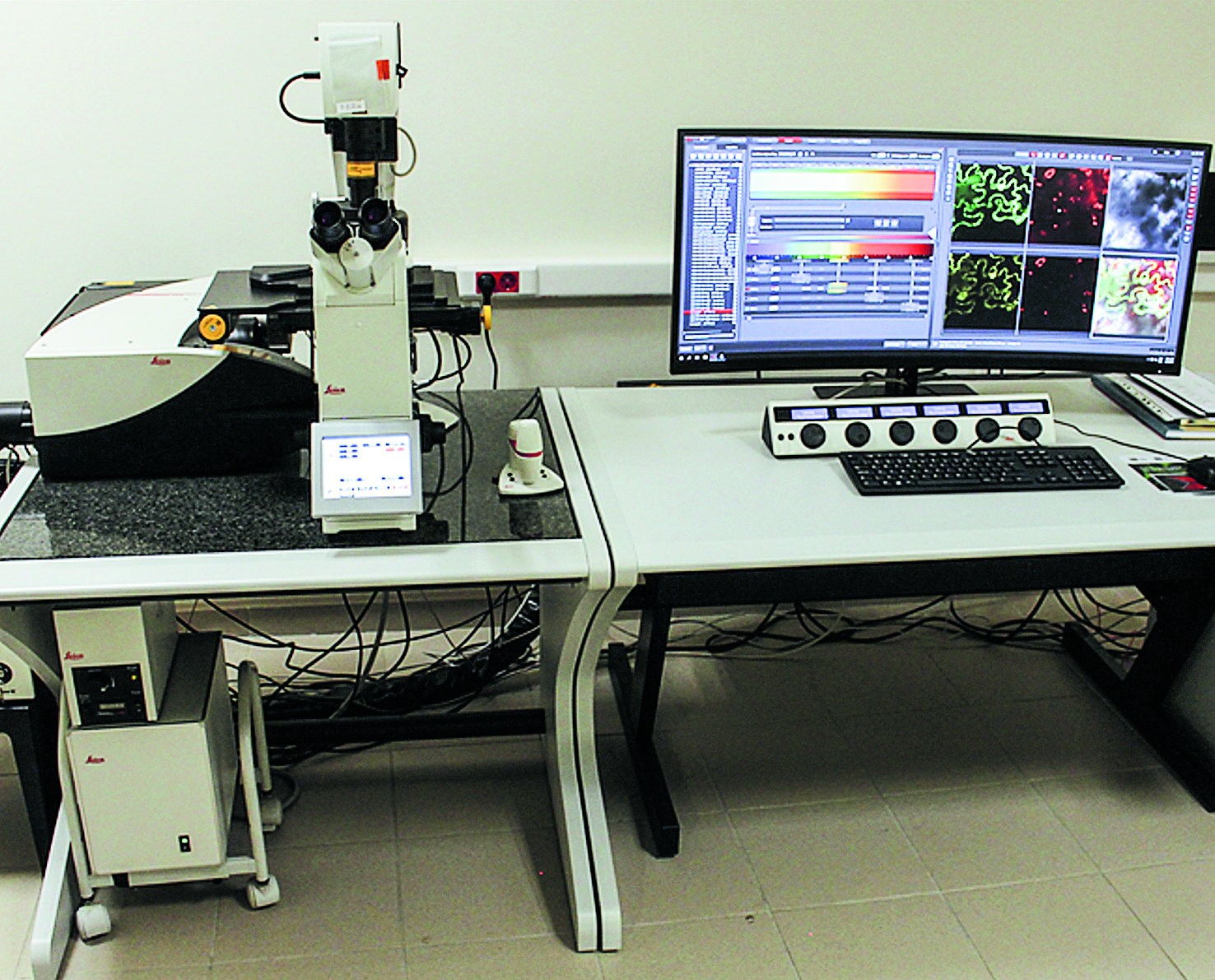 οι-εχθροί-των-γεωργών-στο-μικροσκόπιο-561534712