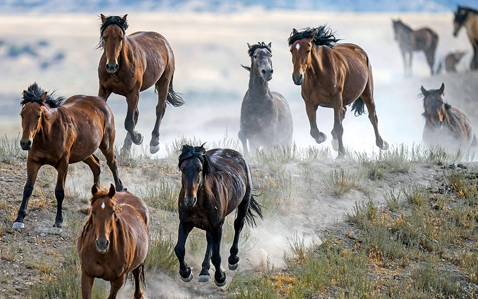 παράθυρα-στον-κόσμο-561538981