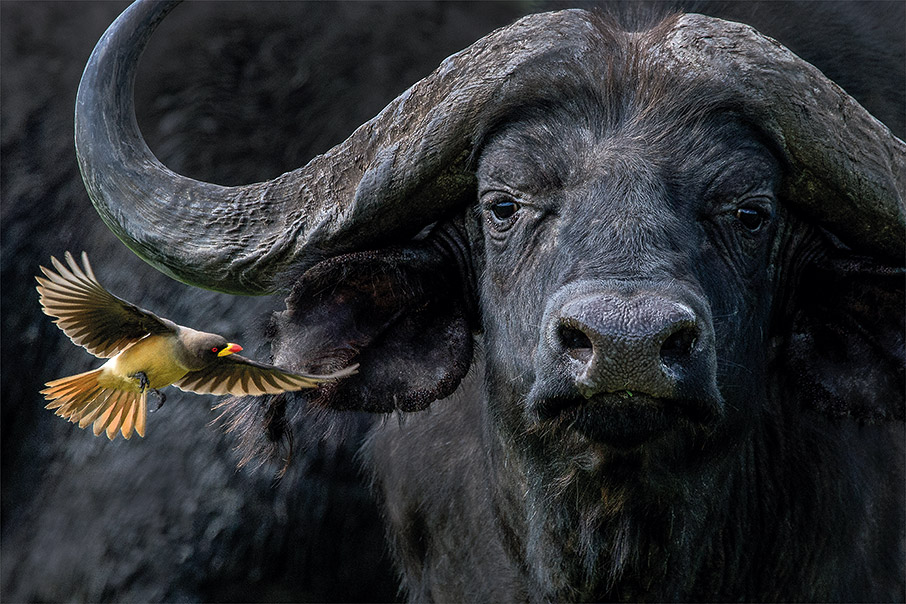 Παράθυρα στον κόσμο-1
