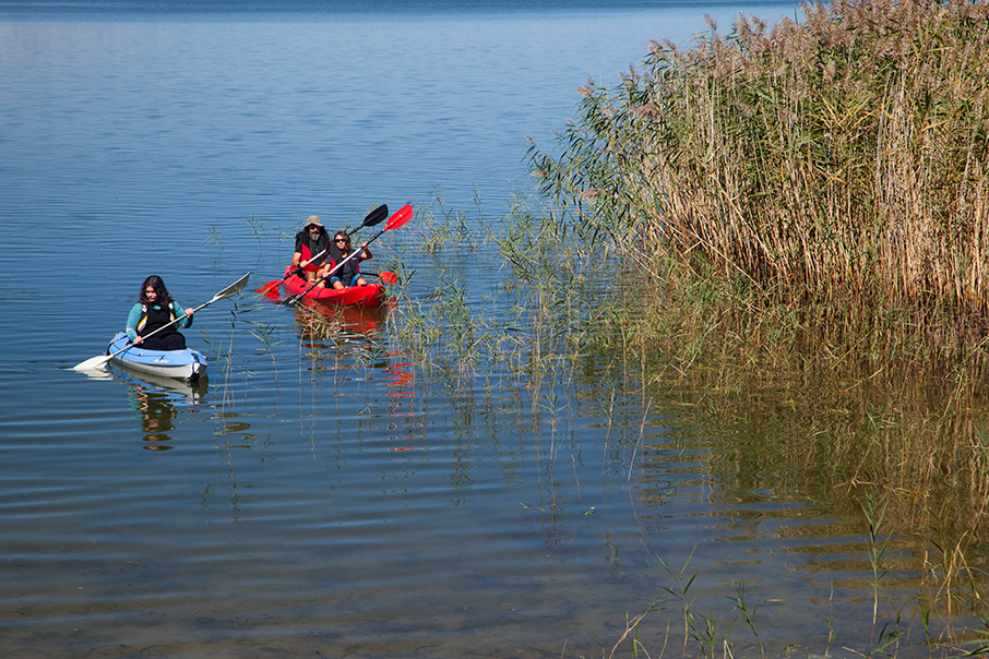 Πρέσπα: Άγρια ζωή στα σύνορα-4