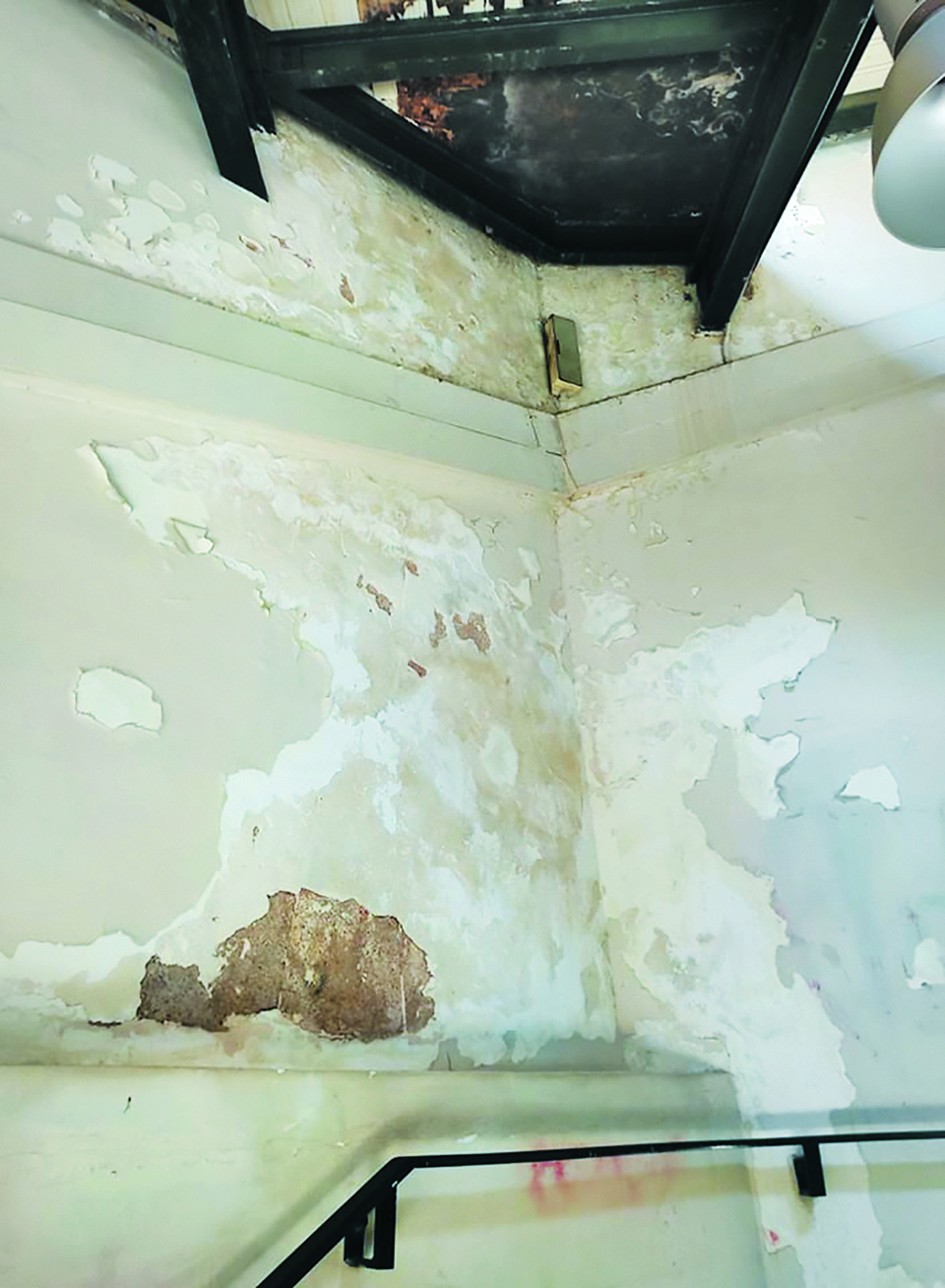 «Μυστικοί επιβάτες» έπιασαν δουλειά στα μέσα μεταφοράς-2