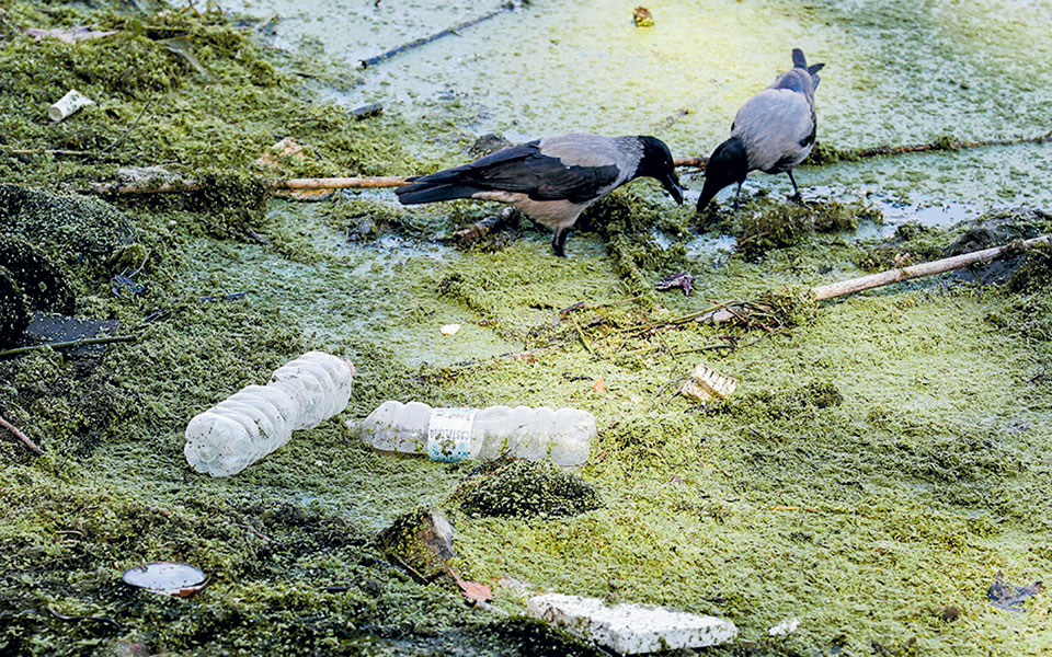 ιταλία-κλέος-και-ξερό-ψωμί-στη-σύγχρον-561521779