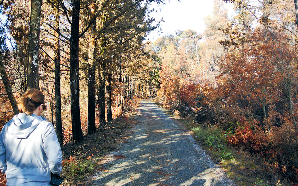 Τατόι: Έντονες ζυμώσεις για την επόμενη ημέρα-2