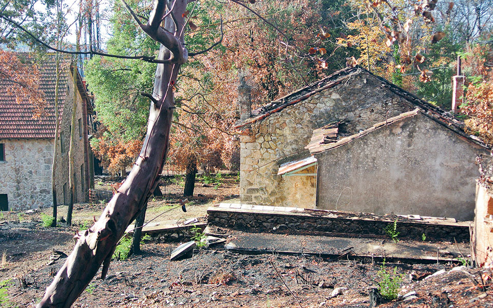 Τατόι: Έντονες ζυμώσεις για την επόμενη ημέρα-3
