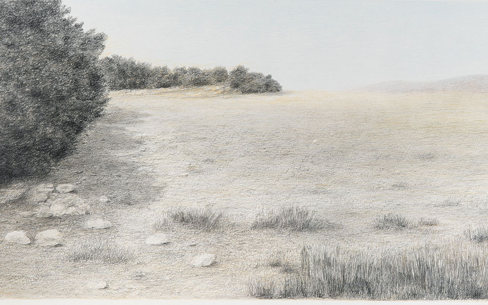 μεταμορφώσεις-τοπίου-και-παραλλαγές-561548749