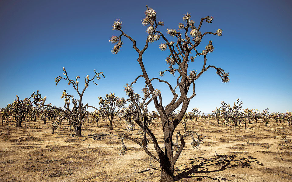 έρευνα-ανάλυση-η-κλιματική-κρίση-σε-αρ-561552004