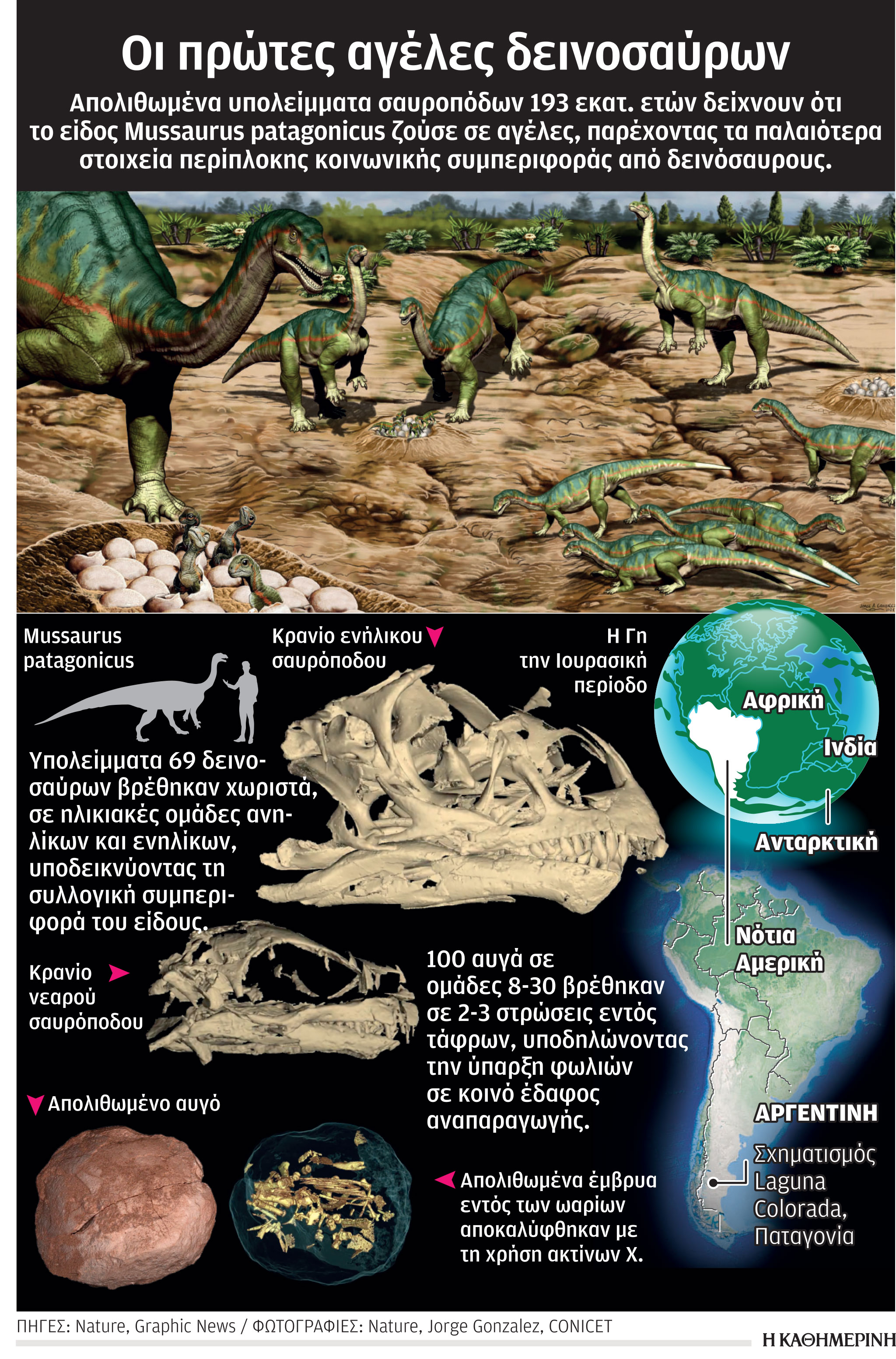 Οι δεινόσαυροι ζούσαν σε αγέλες – Νέα μελέτη-1