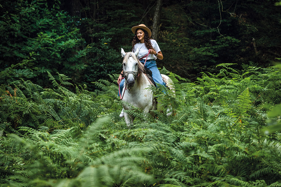 Πήλιο για περιπέτεια-2