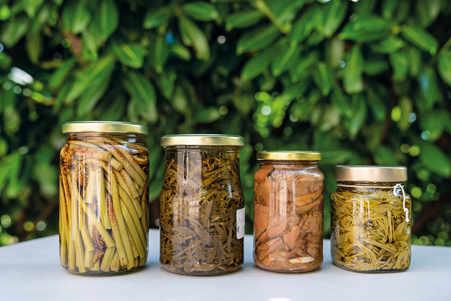 Τροφοσυλλογή: Από το δάσος στο πιάτο-3