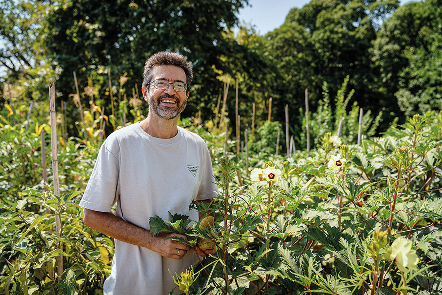 Τροφοσυλλογή: Από το δάσος στο πιάτο-2