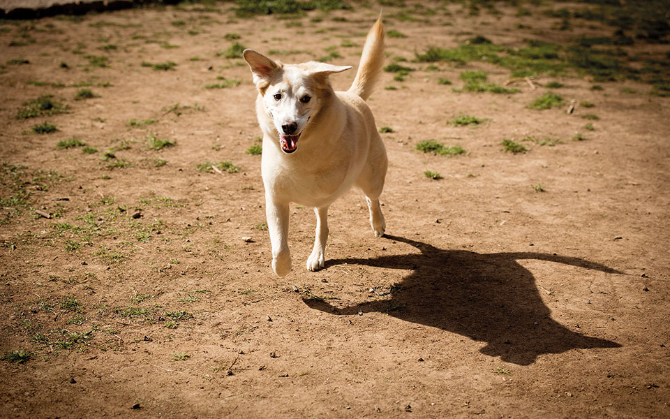 Ένας λιγότερο σκληρός κόσμος-2