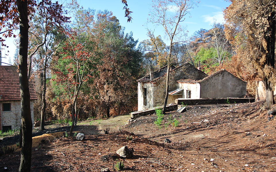 τατόι-έντονες-ζυμώσεις-για-την-επόμεν-561547063