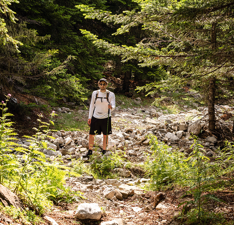 Στο αισθητικό δάσος Παύλιανης-2