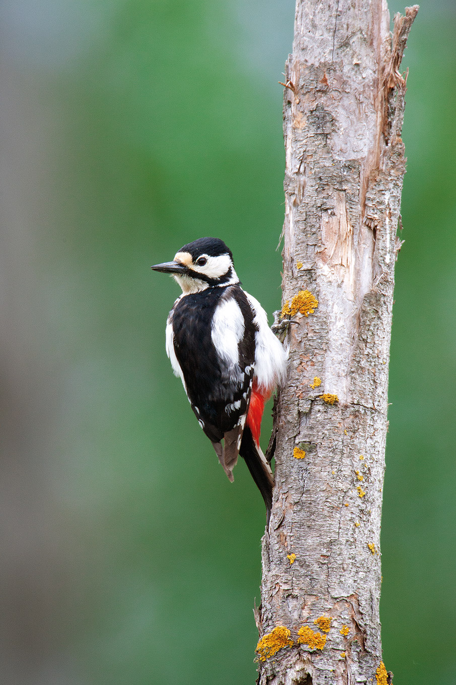 Ένα σχολείο της φύσης-3