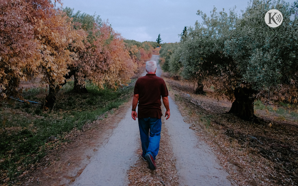 γαστρονόμος-οδοιπορικό-φόρος-τιμής-σ-561528823