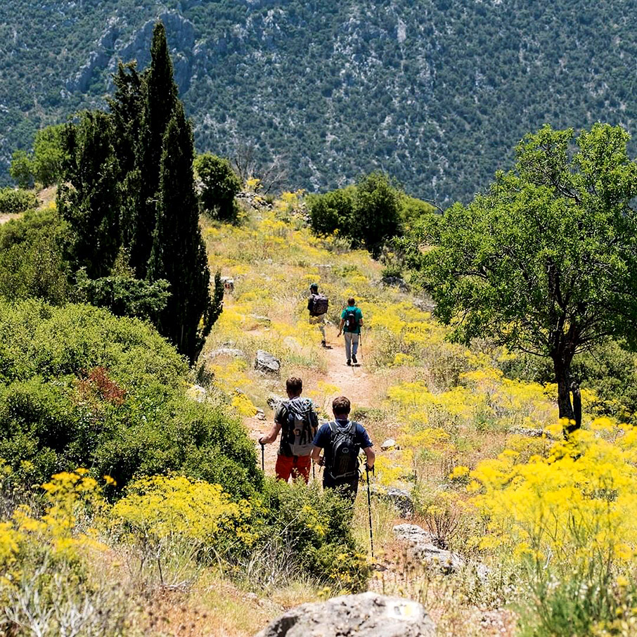Στα αρχαία μονοπάτια του Παρνασσού-3