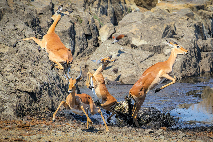 Παράθυρα στον κόσμο-2