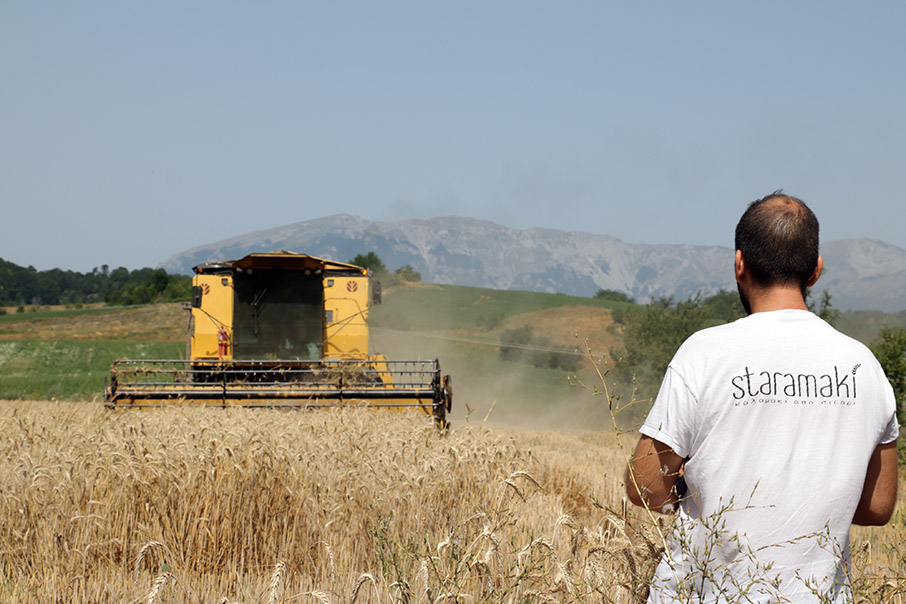 O καφές Nescafé συνεργάζεται με το καινοτόμο Staramaki απ’το Κιλκίς για έναν κόσμο με λιγότερο πλαστικό μιας χρήσης-1