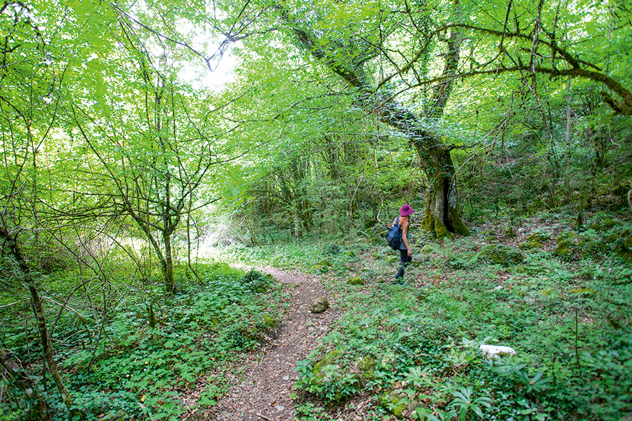 Η διάσχιση του Βίκου-1