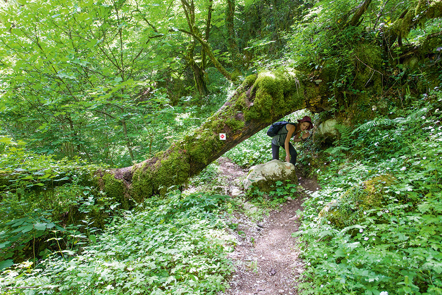 Η διάσχιση του Βίκου-4