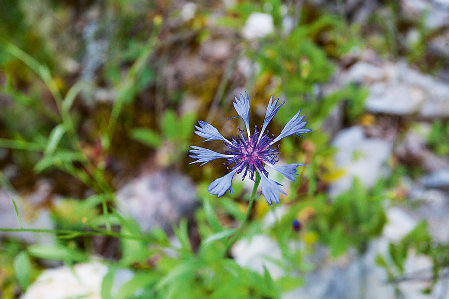 Η διάσχιση του Βίκου-5