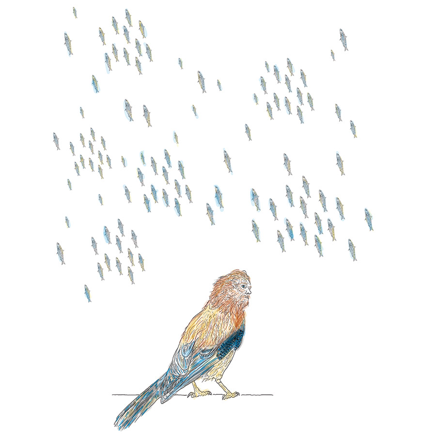 Η συγγραφέας Μαρία Ξυλούρη «συναντά» τον Ντέιβιντ Μίτσελ στο Ζαγόρι-1