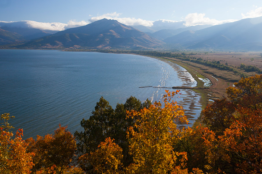 Πρέσπα: Άγρια ζωή στα σύνορα-5