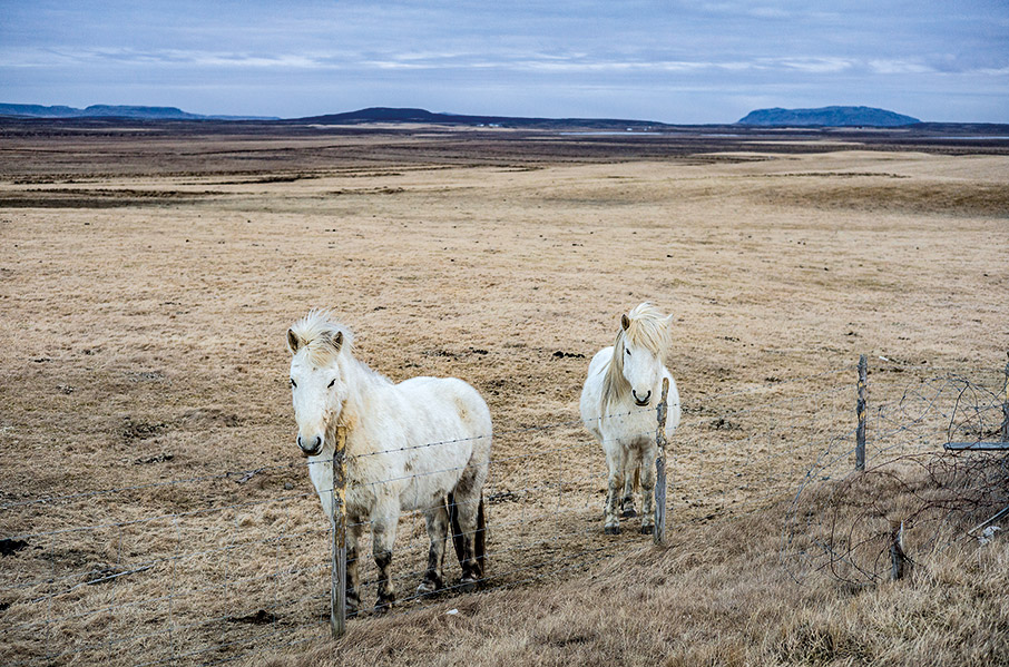 Iσλανδία: Οδηγώντας στον Ring Road-7