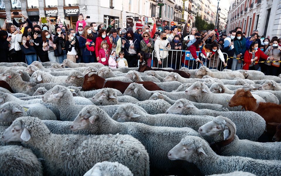 μαδρίτη-πολλή-κίνηση-στους-δρόμους-561555610