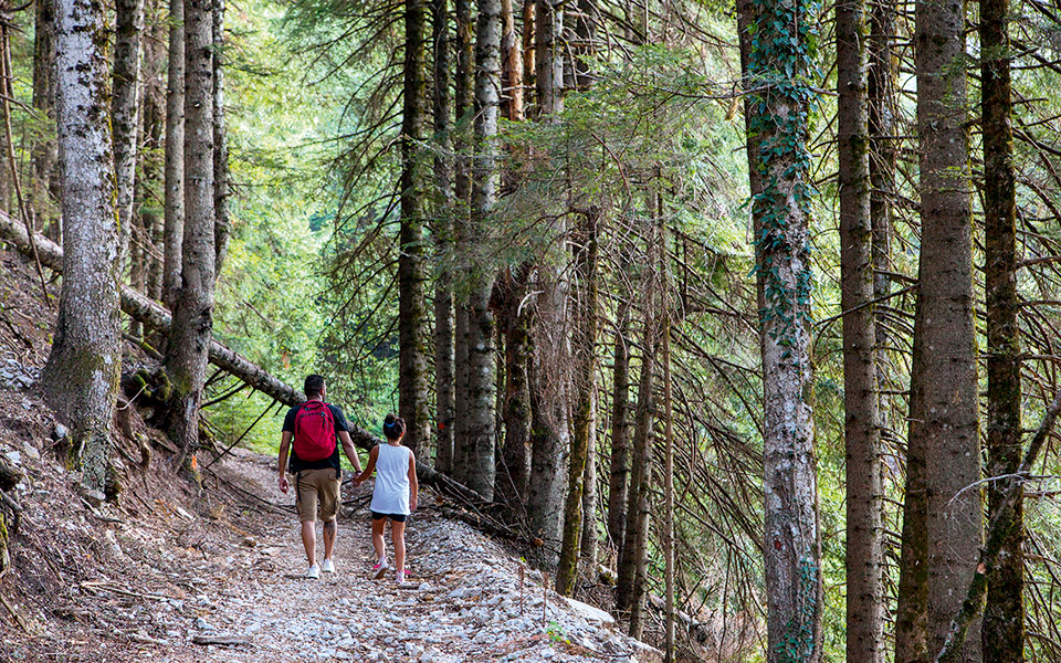 tζουμέρκα-δάση-νερά-και-ψηλά-βουνά-561535708
