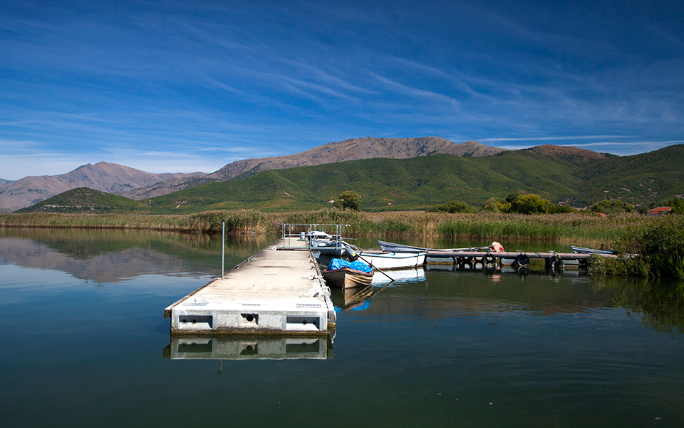 πρέσπα-άγρια-ζωή-στα-σύνορα-561540910