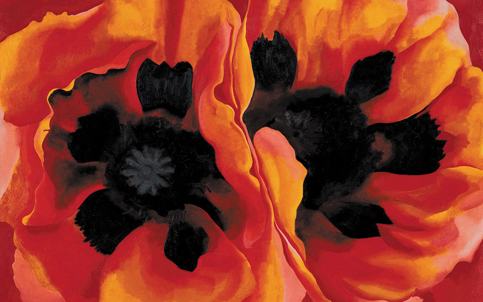 ο-κόσμος-της-georgia-o-keeffe-561564862