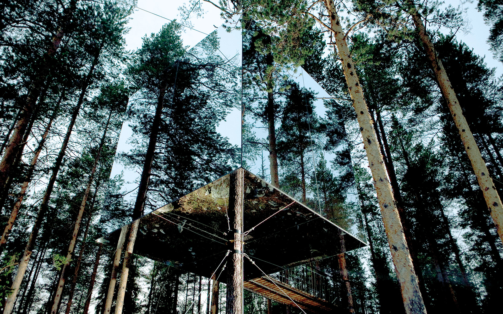 λεύκωμα-σε-επαφή-με-τη-φύση-561533449