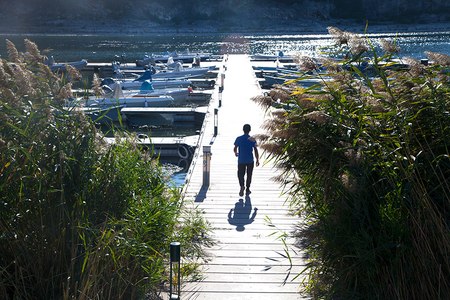 Πρέσπα: Άγρια ζωή στα σύνορα-6