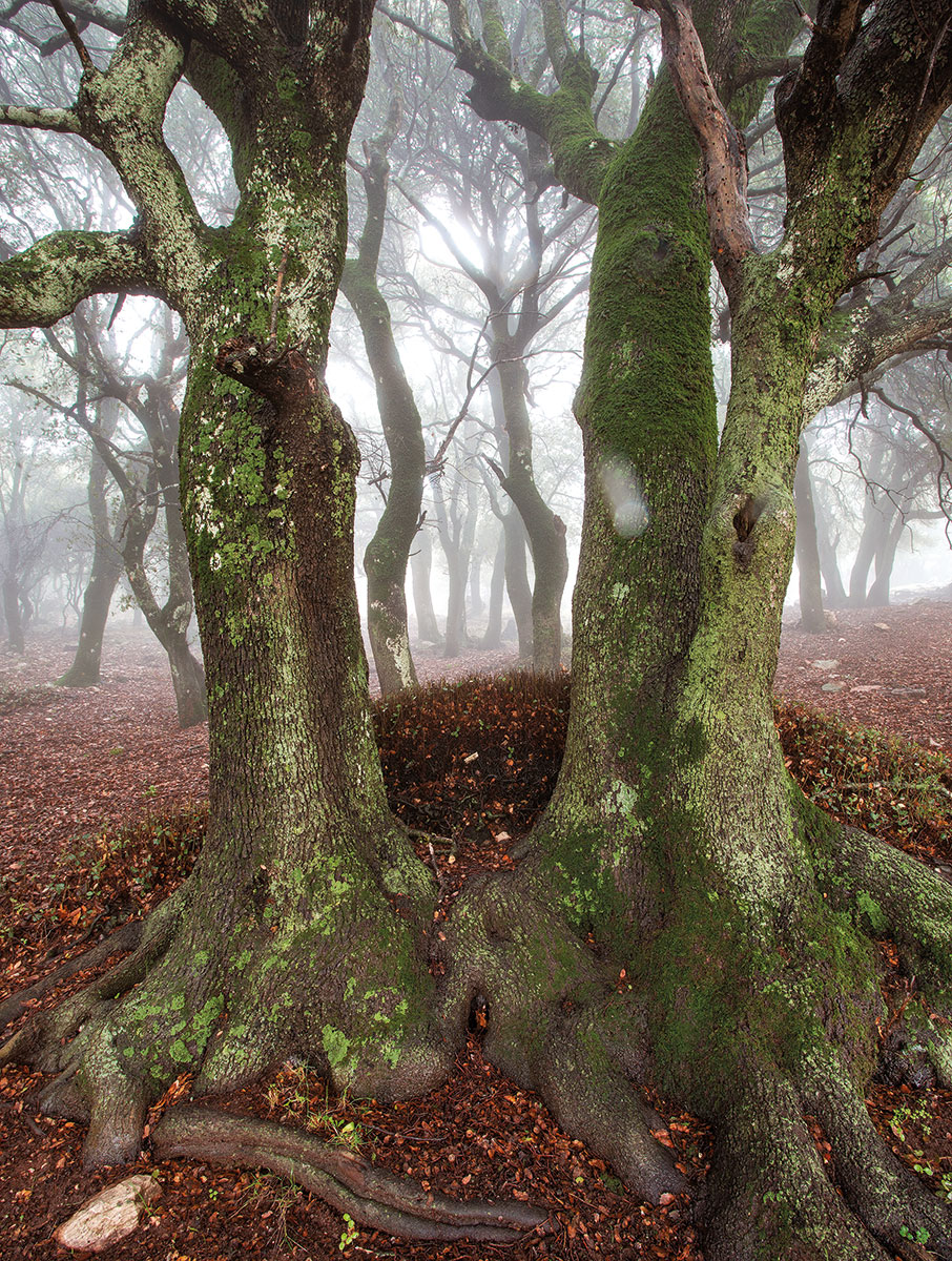 Ένα σχολείο της φύσης-1