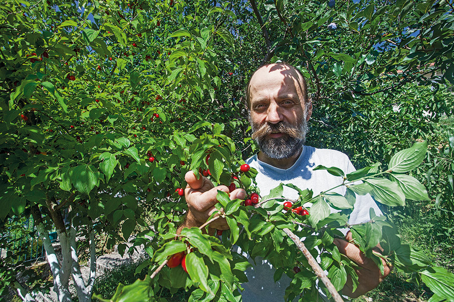 Τροφοσυλλογή: Από το δάσος στο πιάτο-4
