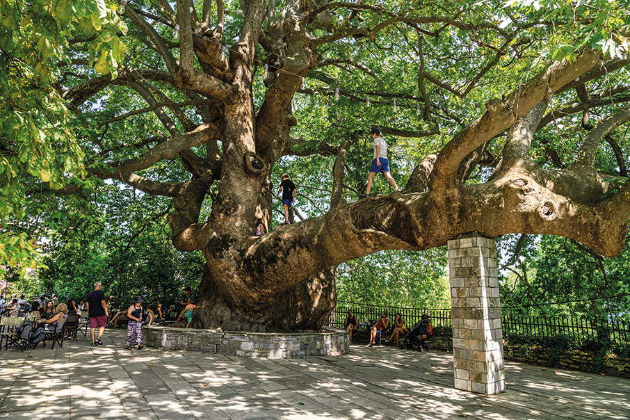 Πήλιο για περιπέτεια-3