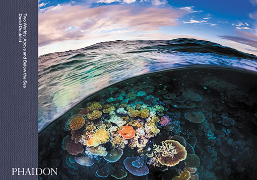 Πάνω και κάτω από το νερό-1