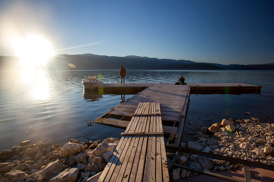 Πρέσπα: Άγρια ζωή στα σύνορα-12