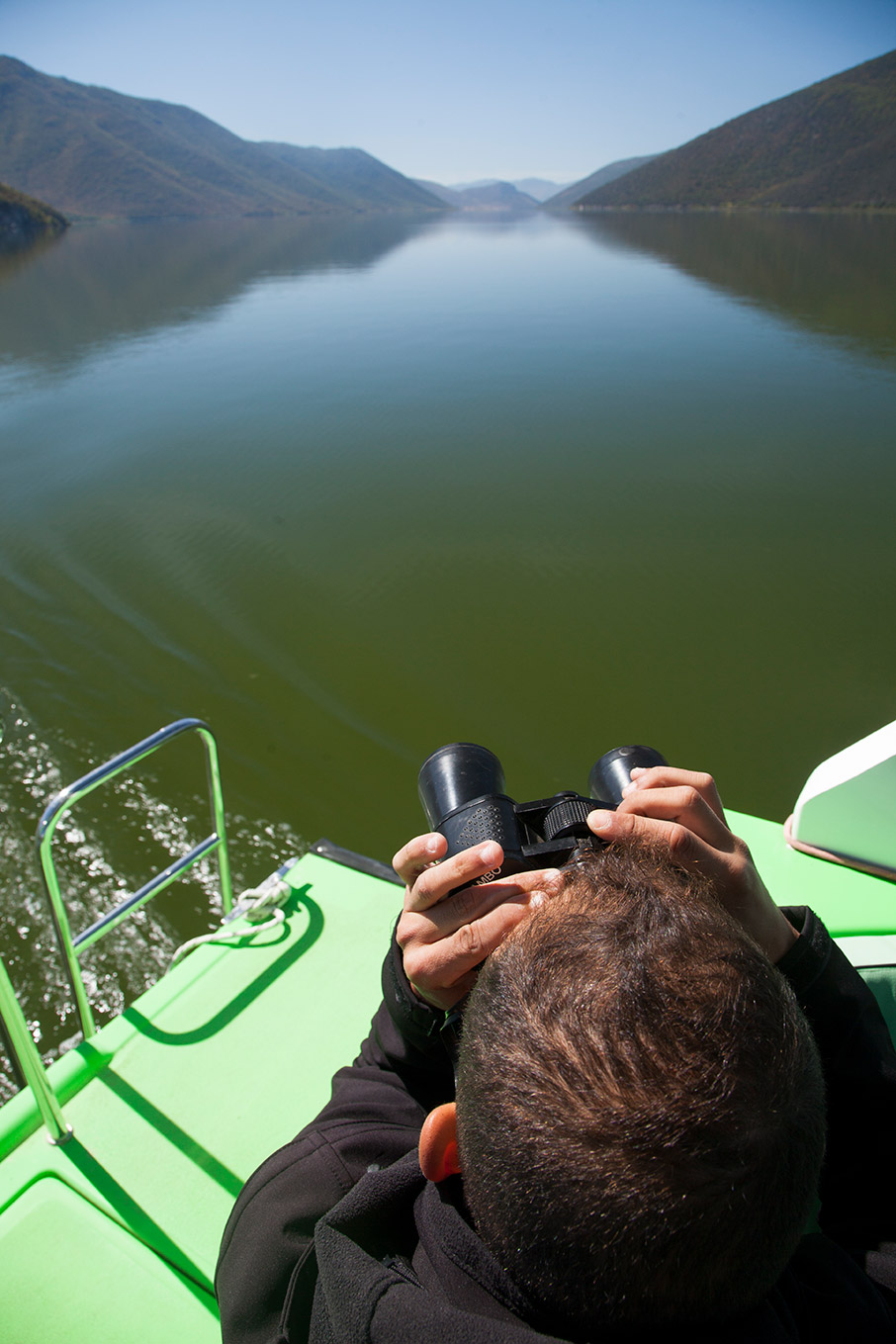 Πρέσπα: Άγρια ζωή στα σύνορα-3