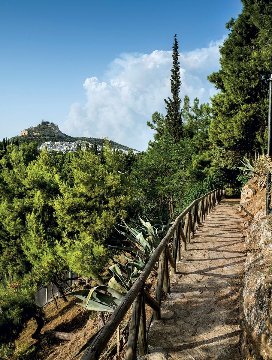 Αρδηττός: Ο λόφος-πάρκο, μνημείο φύσης και ιστορίας-1