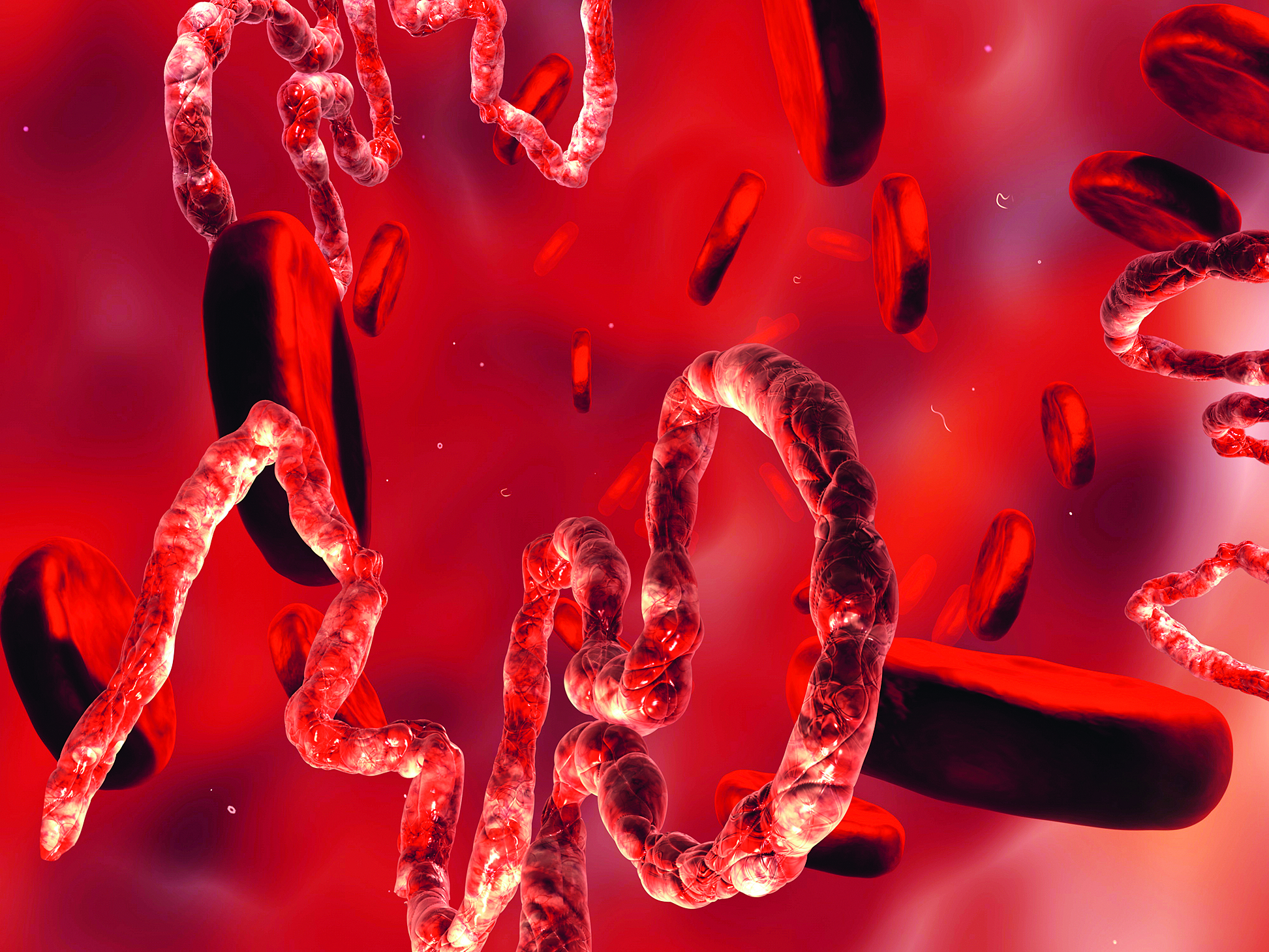 μια-αληθινή-ιστορία-τρόμου-561543151