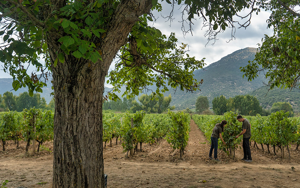 στα-ταξίδια-νοεμβρίου-αυτή-την-κυριακ-561537118