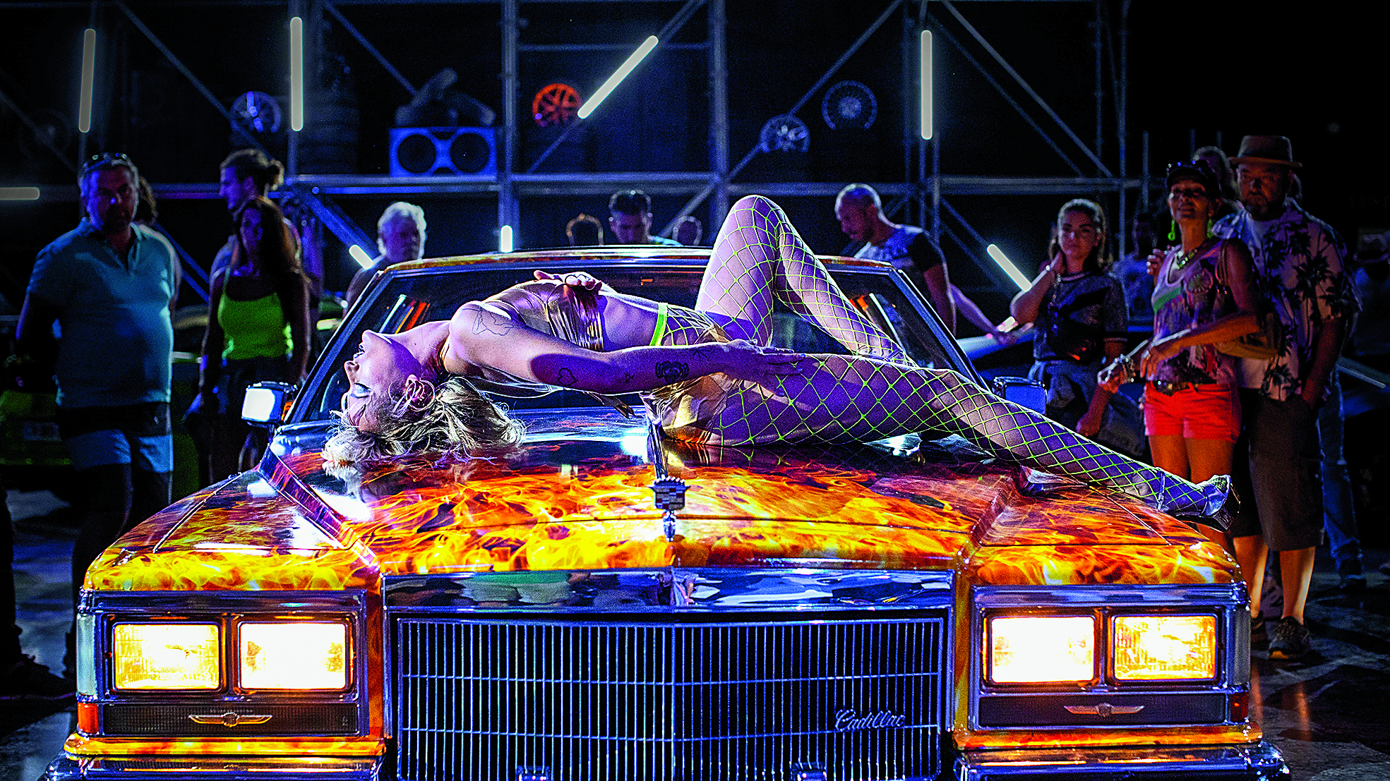 χρυσός-φοίνικας-που-αμφισβητεί-τα-στε-561564028