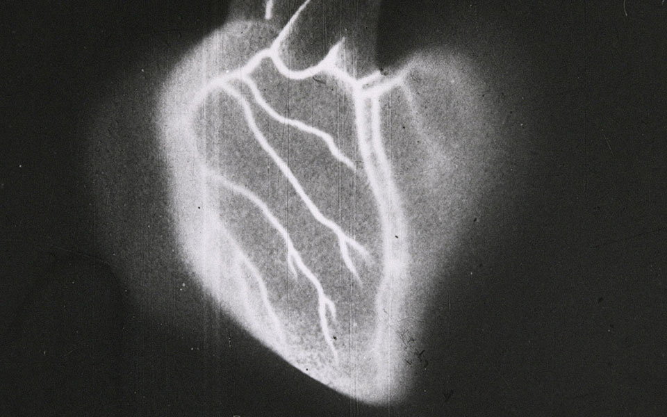 europa-πρεμιέρα-για-την-ταινία-που-κατέσχεσ-561536134