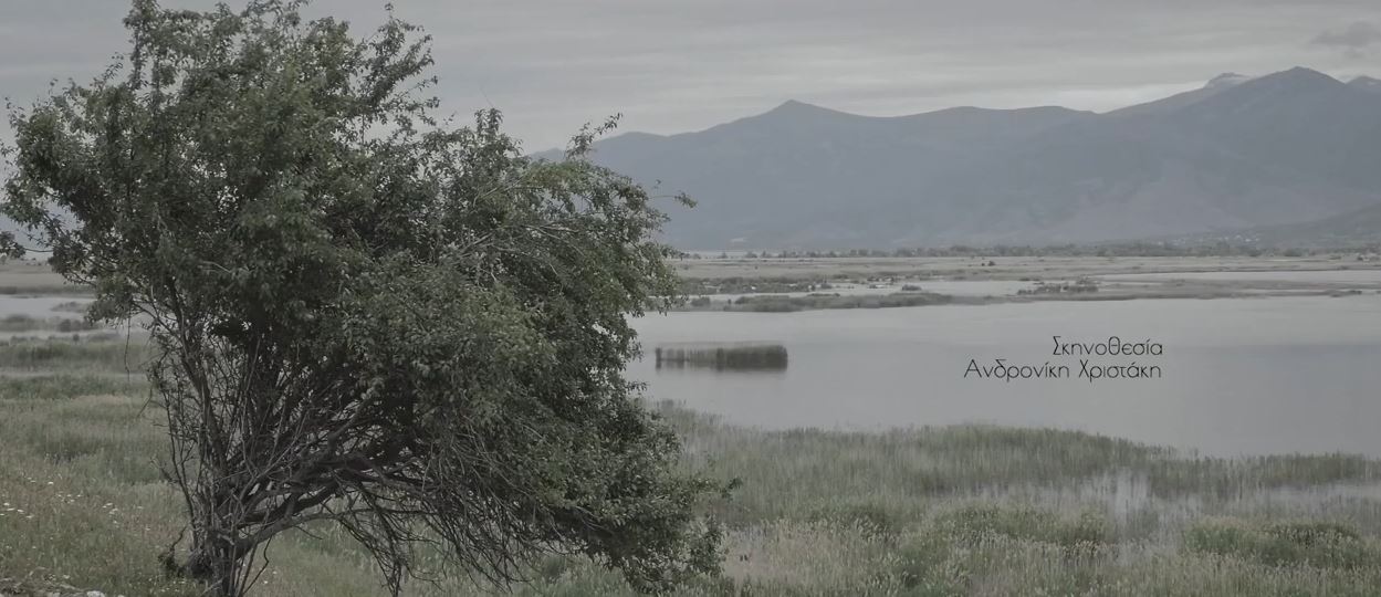 στο-φεστιβάλ-καννών-το-ντοκιμαντέρ-π-561526774